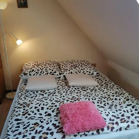 ホームステイ Nad Raba ミシレニツェ