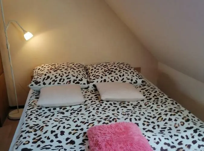 בית אירוח Nad Raba מישלניצה